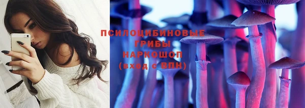 гидра Алексеевка