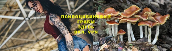 марихуана Алзамай
