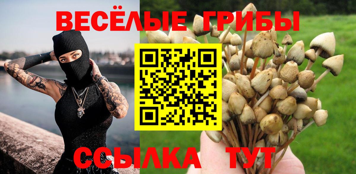 Галлюциногенные грибы Psilocybine cubensis Красноперекопск